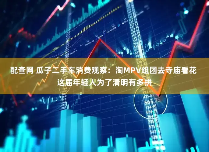 配查网 瓜子二手车消费观察：淘MPV组团去寺庙看花 这届年轻人为了清明有多拼