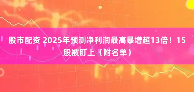 股市配资 2025年预测净利润最高暴增超13倍！15股被盯上（附名单）